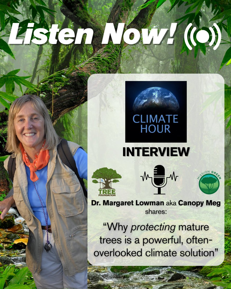 TREE Foundation (@treefoundation) on Twitter photo 🎙️ <a href="/canopymeg/">Meg Lowman</a> on The Climate Hour 🌿
Dr. Meg Lowman shares why protecting mature trees is a powerful, often-overlooked climate solution.
🌳 Biodiversity
💨 Carbon storage
🌱 Planet’s lungs
🎧Listen here 👉climategkc.org/how-to-make-tr…
#ClimateAction #CanopyMeg #ForestsMatter 🎙️ <a href="/canopymeg/">Meg Lowman</a> on The Climate Hour 🌿
Dr. Meg Lowman shares why protecting mature trees is a powerful, often-overlooked climate solution.
🌳 Biodiversity
💨 Carbon storage
🌱 Planet’s lungs
🎧Listen here 👉climategkc.org/how-to-make-tr…
#ClimateAction #CanopyMeg #ForestsMatter