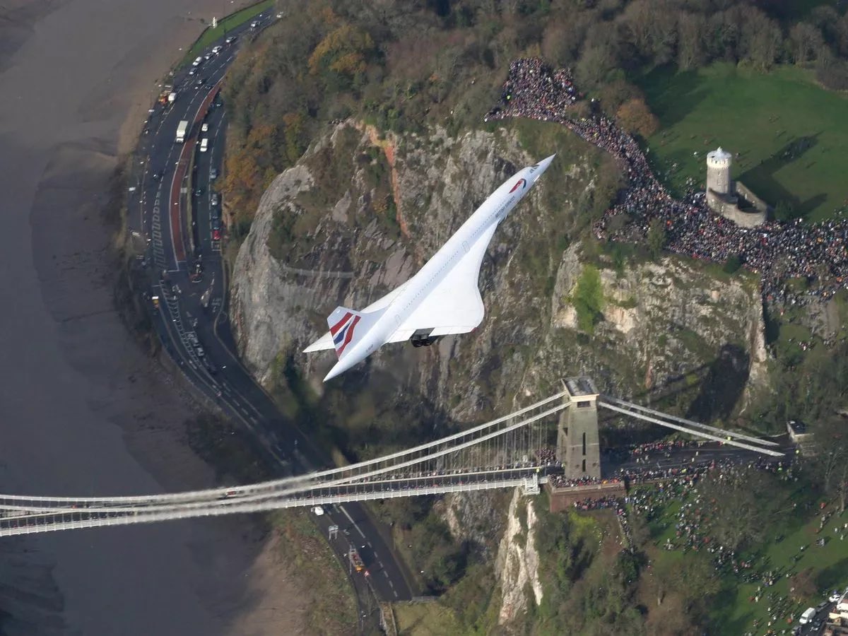 Liberite 🇬🇧 🇪🇺 tweet media