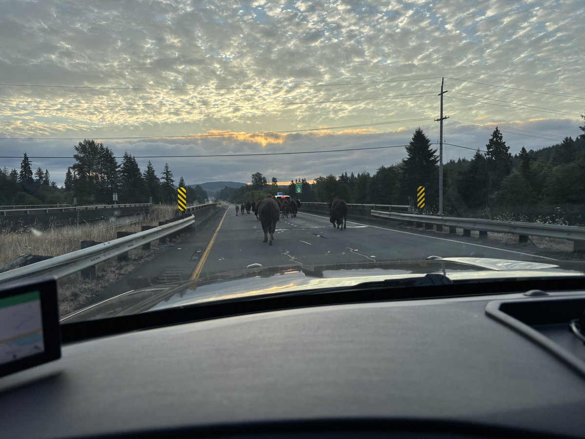 Trooper Katherine Weatherwax tweet media