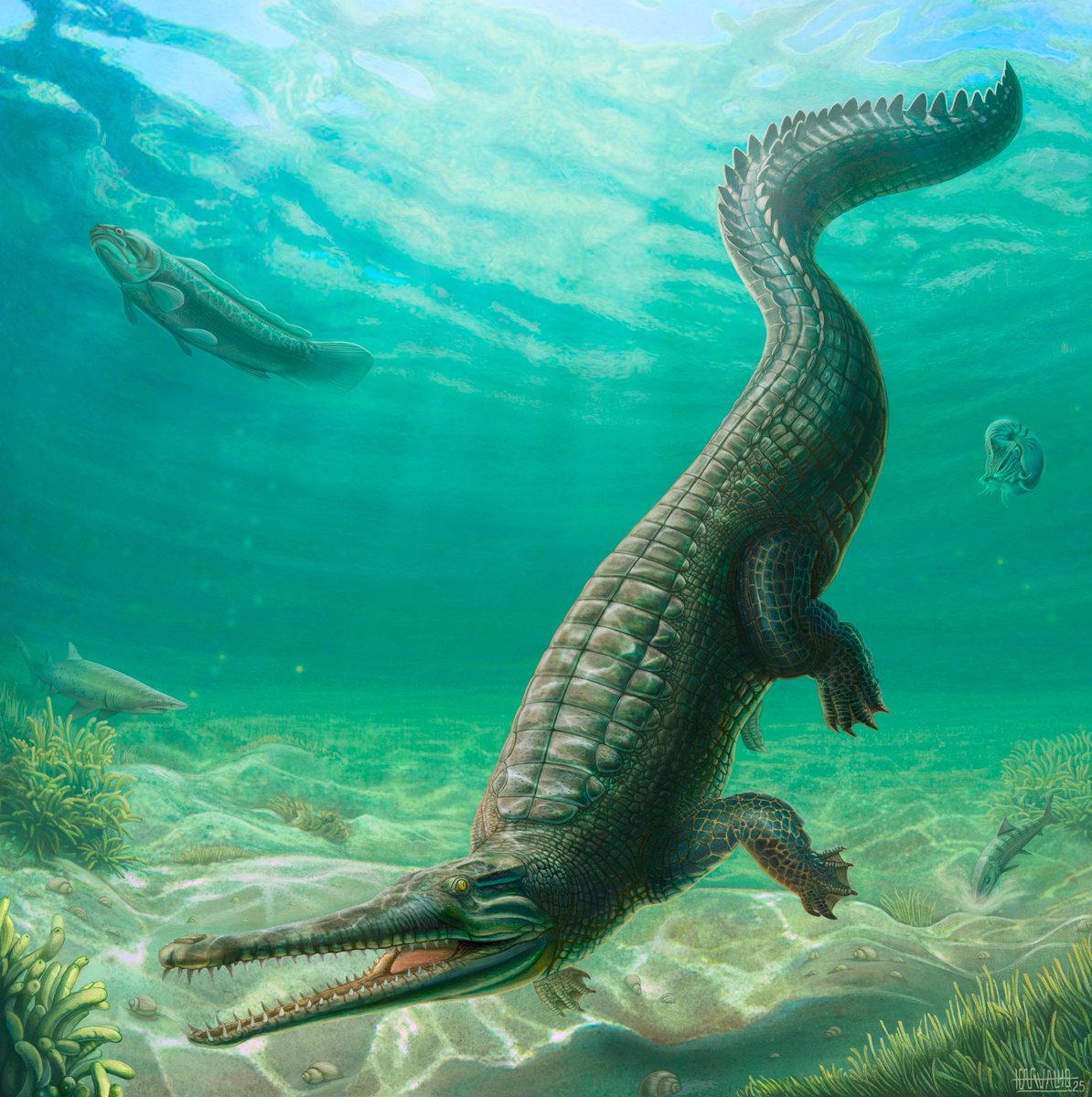 Eduardo Puértolas tweet media