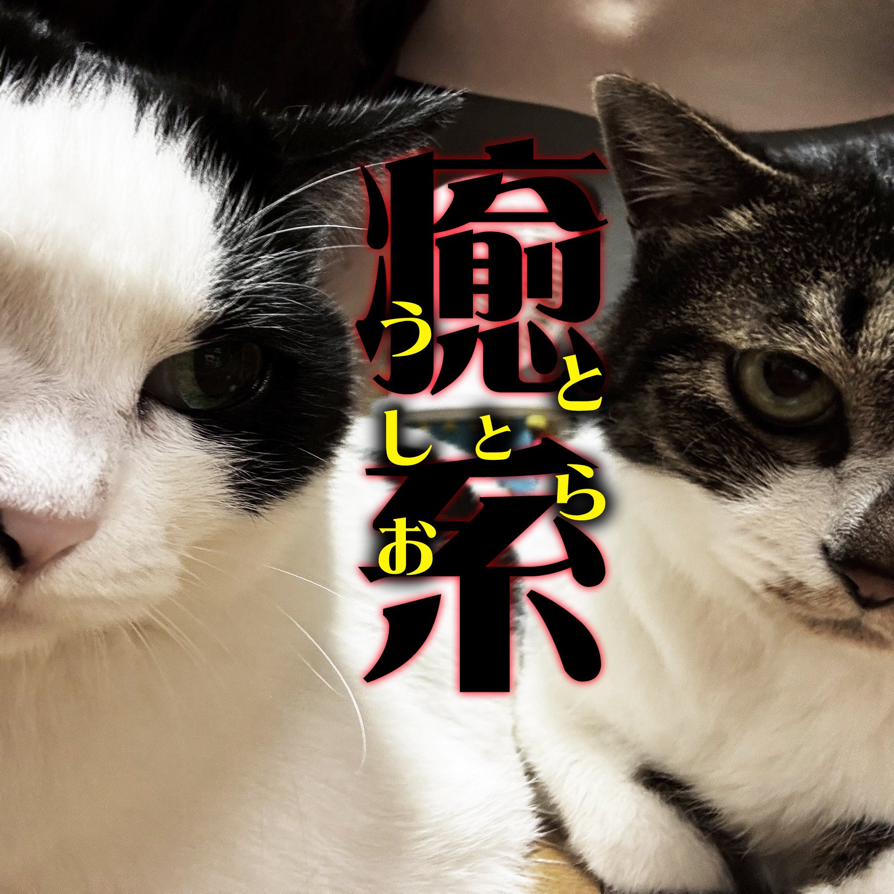  TOMØZO 🐾 (@tomozo_0315) / X