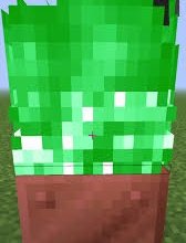 I think they should still do the thing where making fire on top of a copper block turns it green, including the campfire