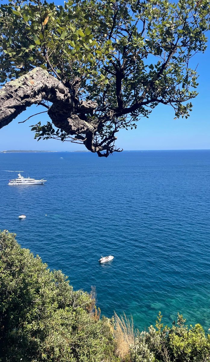 Start every day with blue 💙🩵