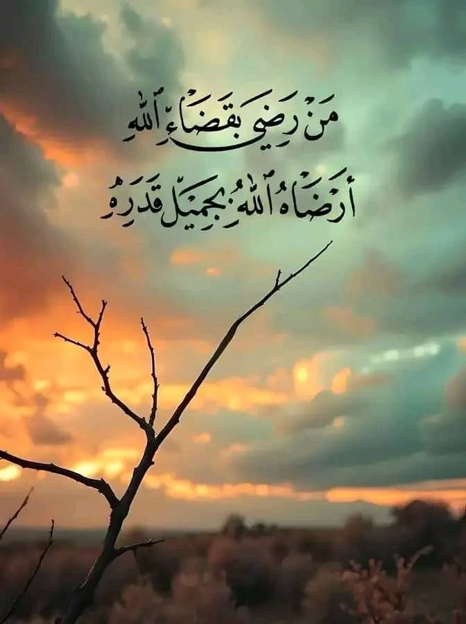 #مساء_الخير