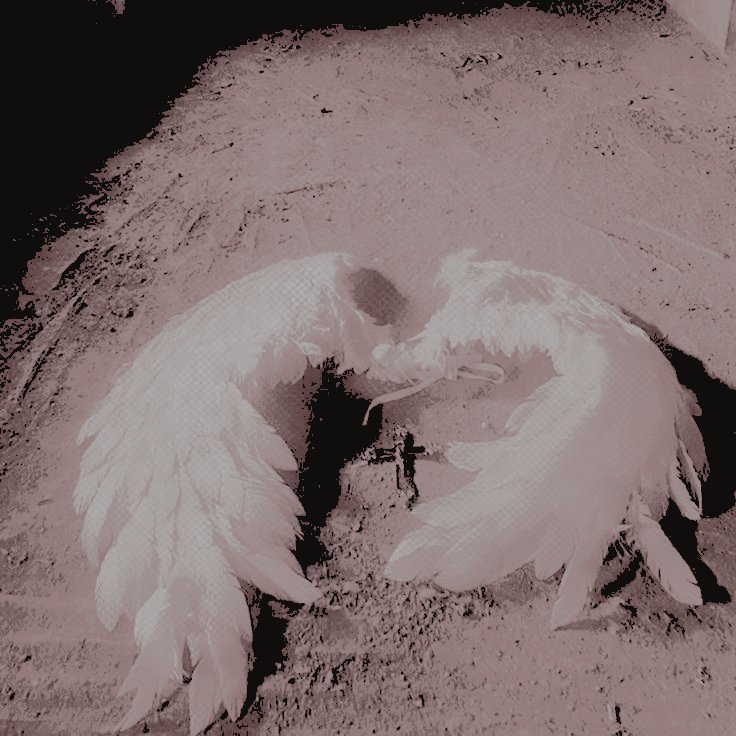 ᅟ
ᅟᅟ
ᅠᅠᅠᅠᅠᅠthe ⠀ grigori ⠀ legacy.
⠀⠀⠀⠀⠀⠀ᅠᅠ⠀chapter ᅠ one.

ᅟ
ᅟᅠ