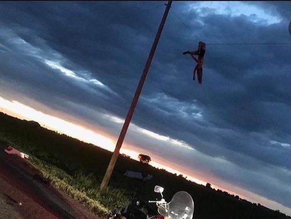 لافانيا tweet media