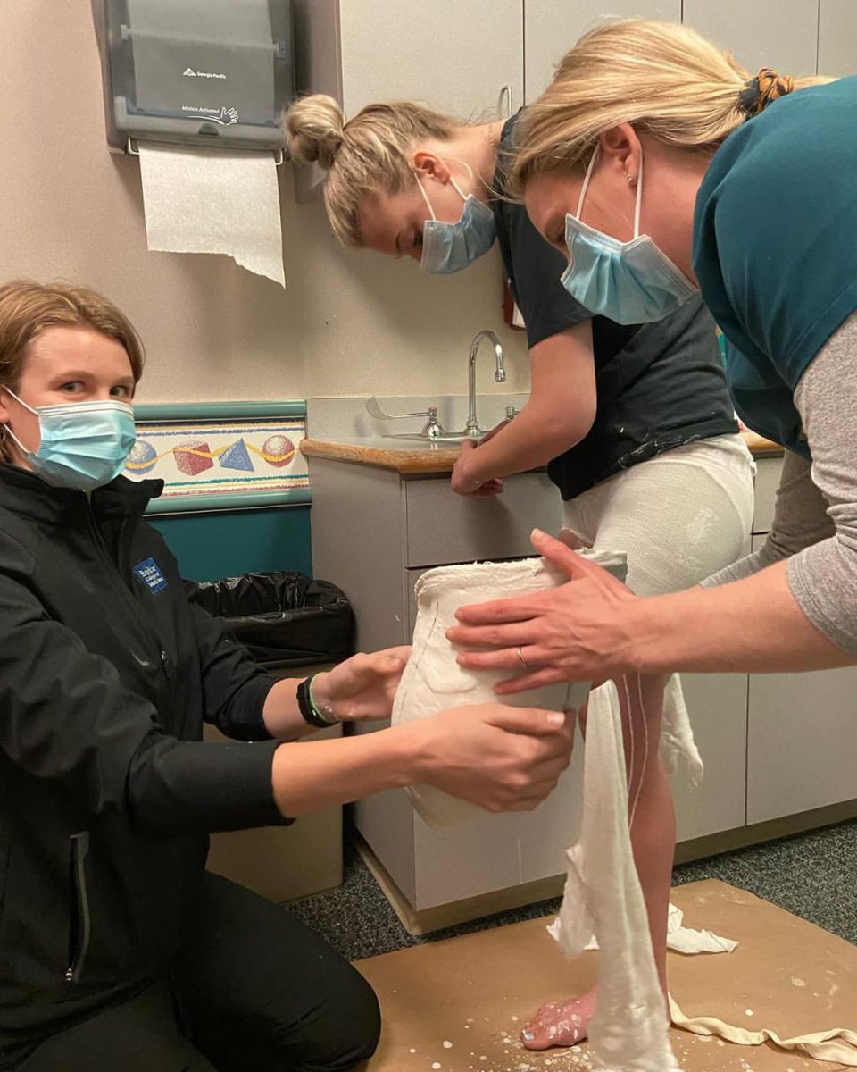 لافانيا tweet media