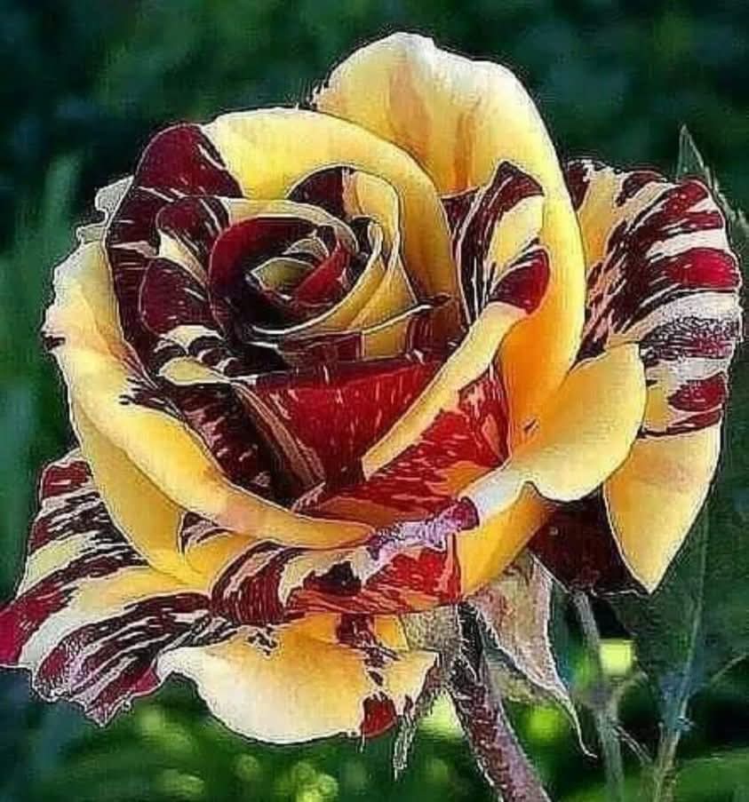 Tereza Vető (@mezeiterez80376) on Twitter photo 