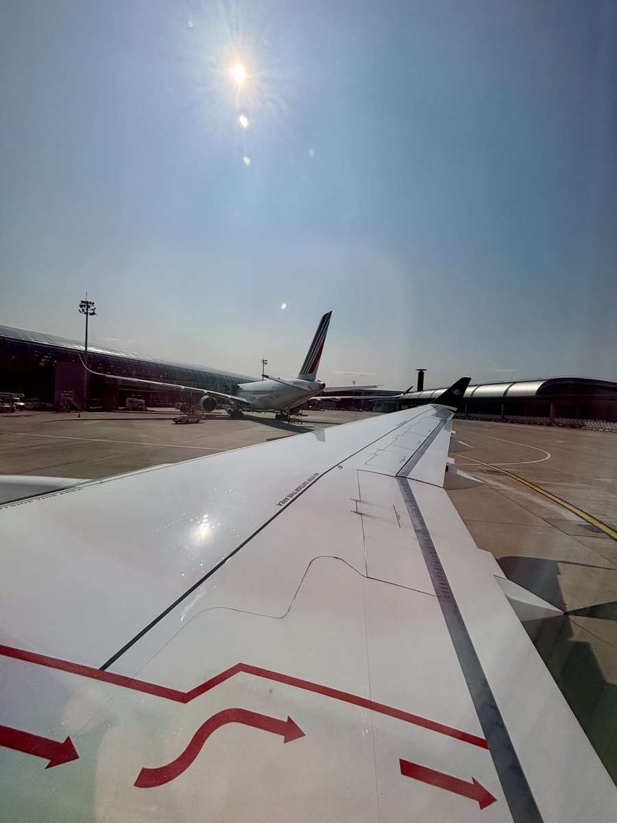 F.✈️⭐️ tweet media