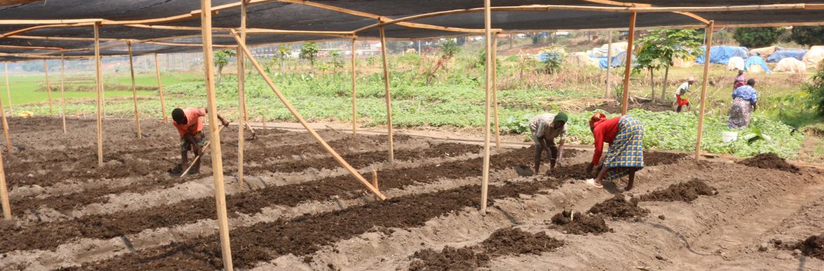 NAbSA_climate's tweet photo. Urban resilience, nature &amp; equity 🌿🏙️

In one of #NAbSA’s Dialogues, @IUCN &amp; @IISD_news spotlight how #SUNCASA is helping 3 African cities adapt to climate change with tailored #NbS.

🔗https://t.co/fieLZblF4I

#ClimateAdaptation #UrbanNbS #GreenCities #IUCN

@CanadaDev https://t.co/805ANRVddb
