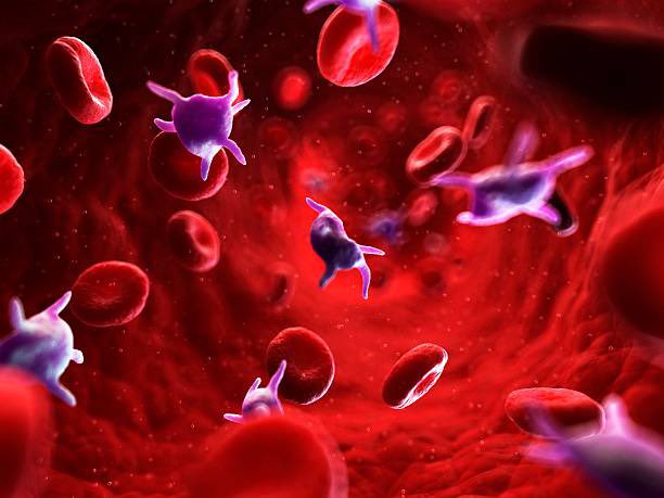 nawahplatform's tweet photo. الصفائح الدموية🩸 ((Platelets ليست مجرد خلايا مسؤولة عن وقف النزيف، بل لها دور محوري في المناعة 

 في هذا الثريد 🤩، نناقش هذا الدور
#نواة 
اعداد المحتوى 
@AsirialiM https://t.co/gFh6xNTteS