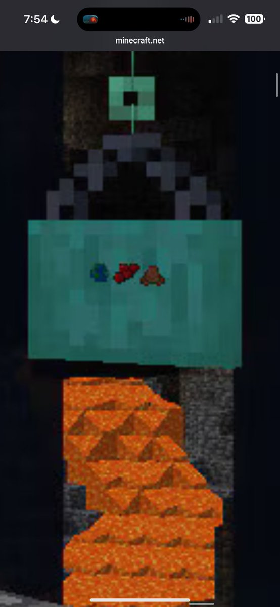 Trevor Costelloe tweet media