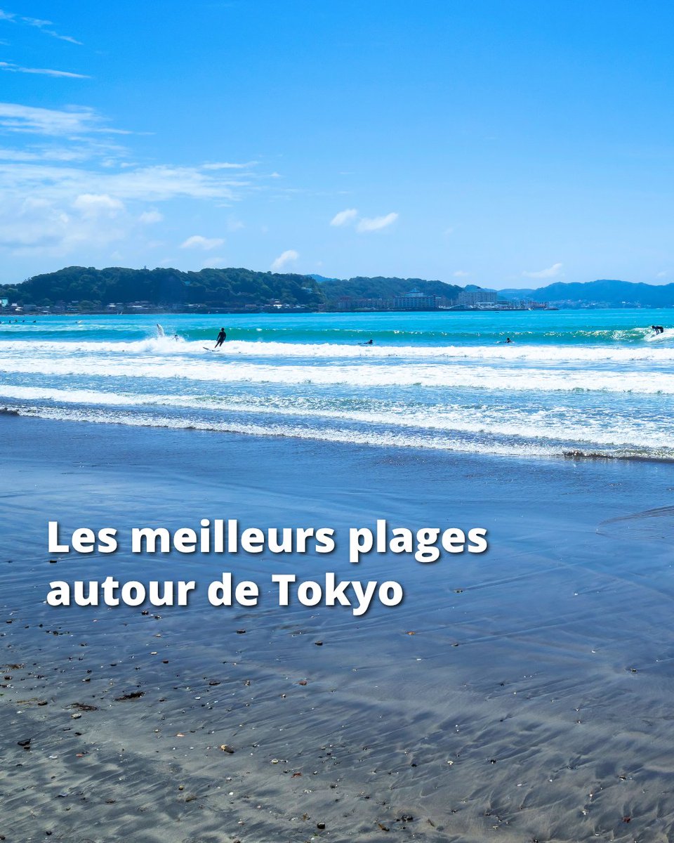 Japan Experience ✈️ tweet media