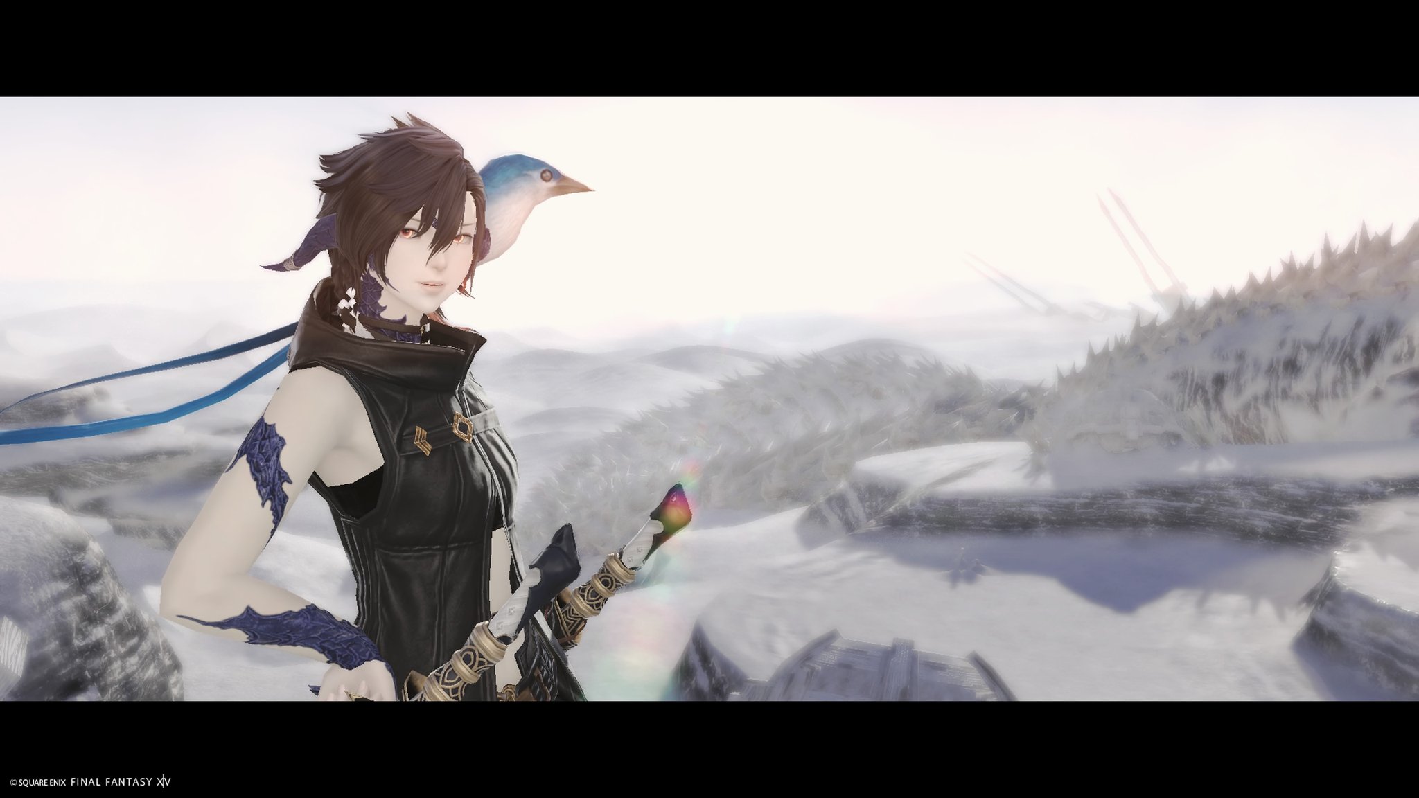 黒兎 on X: 