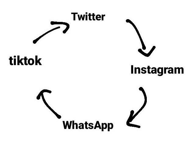 mi vida últimamente: