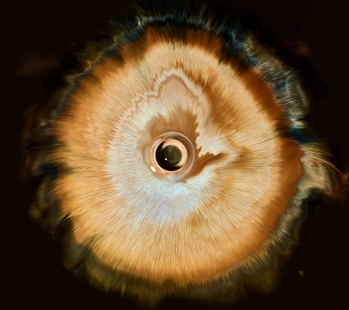 Captivating liquid photography by <a href="/MarkMawsonPhoto/">Mark Mawson</a> 👁️