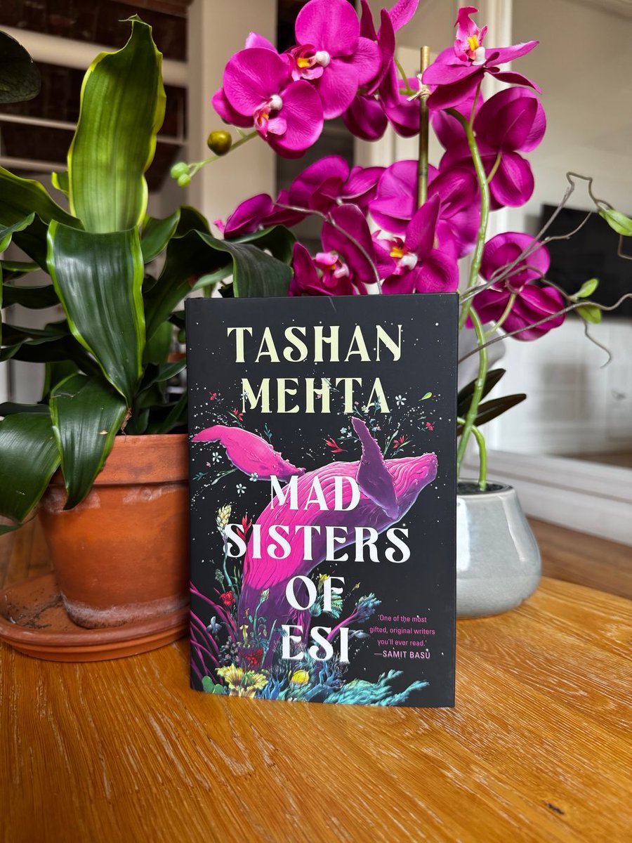 DAW Books (@dawbooks) on Twitter photo Mad Sisters of Esi by <a href="/TashanMehta/">Tashan Mehta</a> is finally out today! Susanna Clarke's Piranesi meets Italo Calvino's If On a Winter's Night a Traveler in this stunning meta fantasy about the power of stories, belief, and sisterhood ✨🐋🌸
buff.ly/KNOWSCi Mad Sisters of Esi by <a href="/TashanMehta/">Tashan Mehta</a> is finally out today! Susanna Clarke's Piranesi meets Italo Calvino's If On a Winter's Night a Traveler in this stunning meta fantasy about the power of stories, belief, and sisterhood ✨🐋🌸
buff.ly/KNOWSCi