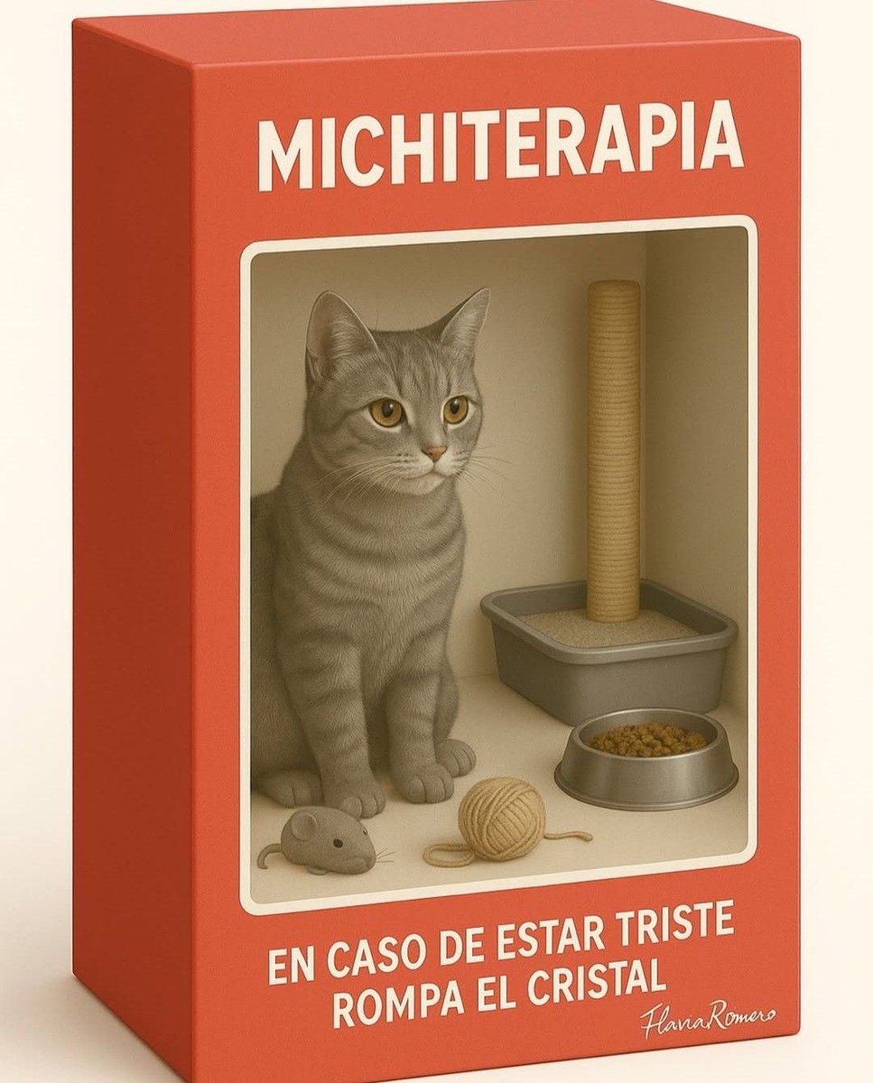 13 imágenes de gatos curiosos, simpáticos, reflexivos y divertidos para animar tu día y darte michiterapia.

Mi favorito es el 9. ¿Y el tuyo?