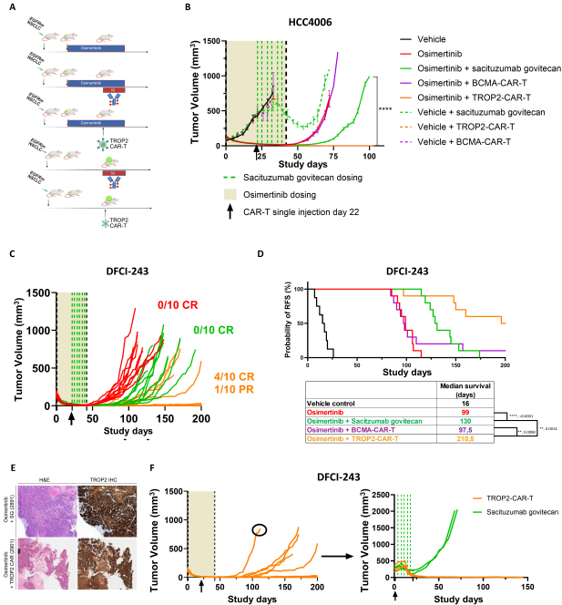 Elizabeth McKenna (@elizsmckenna) on Twitter photo Now online in <a href="/CD_AACR/">Cancer Discovery</a>: Eradicating Drug Tolerant Persister Cells in EGFR-Mutated NSCLC by Targeting TROP2 with CAR-T Cellular Therapy - by Simon Baldacci, <a href="/EJBrea/">Elliott Brea MD, PhD</a>, Francesco Facchinetti, <a href="/ESmithMDPhD/">Eric Smith</a>, Pasi Jänne, <a href="/DavidBarbie8/">David Barbie</a>, and colleagues doi.org/10.1158/2159-8… <a href="/DanaFarber/">Dana-Farber</a> Now online in <a href="/CD_AACR/">Cancer Discovery</a>: Eradicating Drug Tolerant Persister Cells in EGFR-Mutated NSCLC by Targeting TROP2 with CAR-T Cellular Therapy - by Simon Baldacci, <a href="/EJBrea/">Elliott Brea MD, PhD</a>, Francesco Facchinetti, <a href="/ESmithMDPhD/">Eric Smith</a>, Pasi Jänne, <a href="/DavidBarbie8/">David Barbie</a>, and colleagues doi.org/10.1158/2159-8… <a href="/DanaFarber/">Dana-Farber</a>