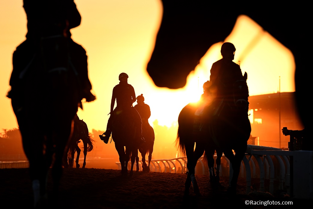 Reminder: The next edition of the Longines World's Best Racehorse Rankings will be released next Thursday, the 14th of August.