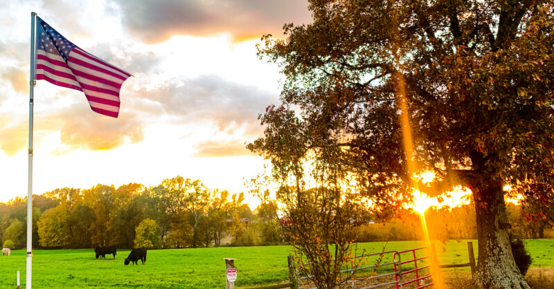 🇺🇸Homestead, Farm, Ranch &amp; Garden Community 7-29-2025
🆕New Folks
<a href="/Will_W_Welker/">William Wallace Welker</a>
<a href="/olKasey/">Ol Kasey</a>
<a href="/CChristensen125/">Seeds of hope 💖</a>
<a href="/JR_Homesteading/">JR</a>
<a href="/katie_lu91/">Katielu💜</a>
<a href="/TeamBluesman/">Arkansas Werido</a>
<a href="/QuantumMagick/">BG (“Beege”) Burton</a>
<a href="/gadwoh/">Gadwoh</a>
<a href="/HighFarndale/">Peter Mawson</a>
<a href="/lifeinmylane/">Life in My Lane</a> 

A light week for New Folks so PLEASE RePost or otherwise spread the word so