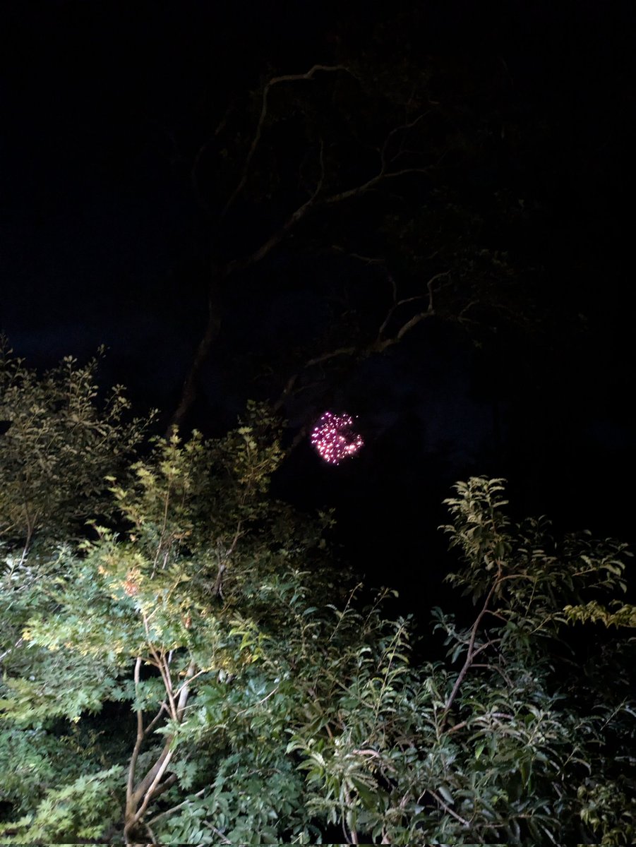 やっぱりカルストはいい
あとたまたま夏祭りしててBBQ中に1/365引いたのすごいと思っています
