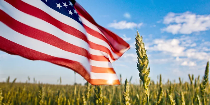 🇺🇸Homestead, Farm, Ranch &amp; Garden Community 7-29-2025
🚜 T - Th
<a href="/T00TaII/">TooTall</a>
<a href="/Takenbysunbeam/">Wendy Laidlaw</a>
<a href="/tara_m_davidson/">Lonesome Dove Ranch</a>
<a href="/TealSeptember/">TealSeptember</a>
<a href="/Tenbrooks2/">Tenbrooks</a>
<a href="/TeresaWKH/">Tres</a>
<a href="/texasGSDgirl/">DeepSouthGSDgirl</a>
<a href="/ThatCoffeyguy/">That Coffey Guy</a>
<a href="/The_Fit_Farmer/">Mike Dickson</a>
<a href="/TheCogHillFarm/">Cog Hill Farm</a>
<a href="/thefarmerette/">FARMacist € FARMERette💚💛🌽🇺🇸</a>
<a href="/TheFarmOn158/">The Farm On 158</a>
<a href="/TheGoatfather33/">SGT Mike</a>
<a href="/TheGoatherdess/">TheGoatherdess</a>
<a href="/thegridpunk/">Gridpunk</a>