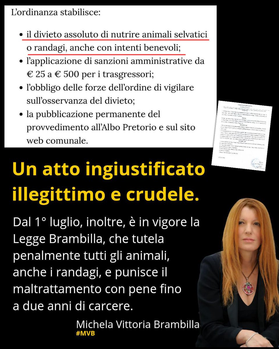 leidaa_italia's tweet image. L'on. @mvbrambilla: "Ho scritto al sindaco di #Moschiano (Avellino) per chiedere l’annullamento immediato dell’ordinanza n. 24 del 24 luglio 2025 che vieta ai cittadini di dare da mangiare agli #animali #randagi e selvatici sul territorio comunale!" leidaa.info/news/moschiano…