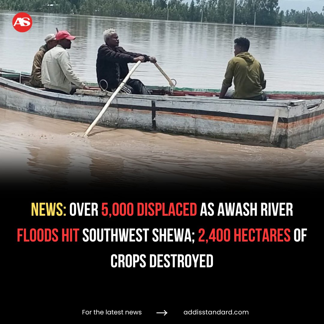 addisstandard's tweet image. Over 5,000 displaced as #Awash River #floods hit Southwest Shewa; 2,400 hectares of crops destroyed

Torrential rainfall over the weekend triggered severe flooding along the Awash River in Ilu and Sebeta Hawas districts of the Southwest Shewa Zone, Oromia region, displacing more