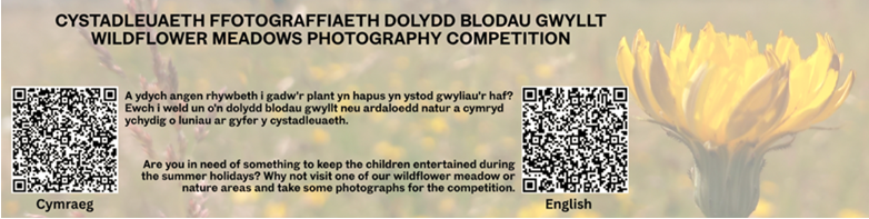 Ysgolion Iach CSDd/DCC Healthy Schools (@iachhealthy) on Twitter photo 