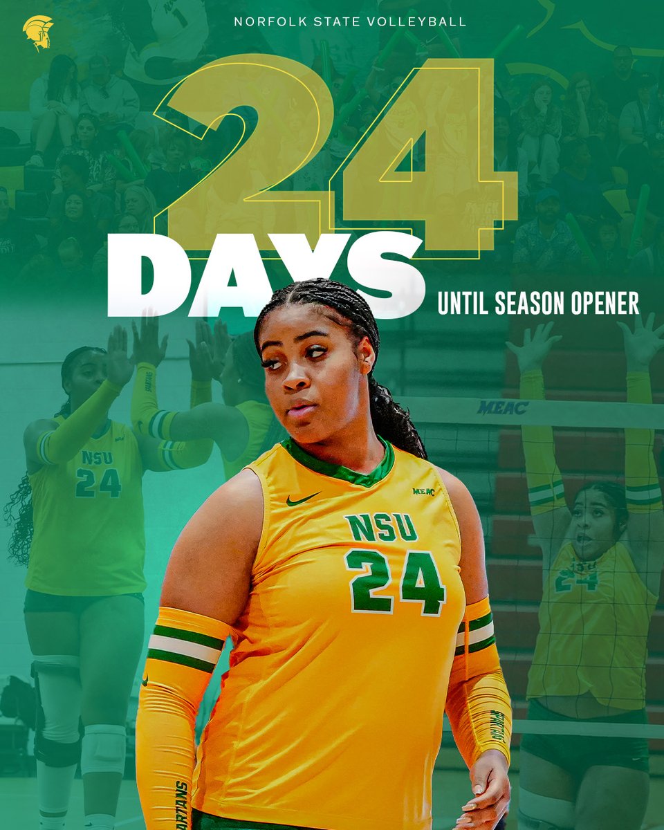 We're 24 Days out 'til the 2025 season🏐

#GoldStandard🔰