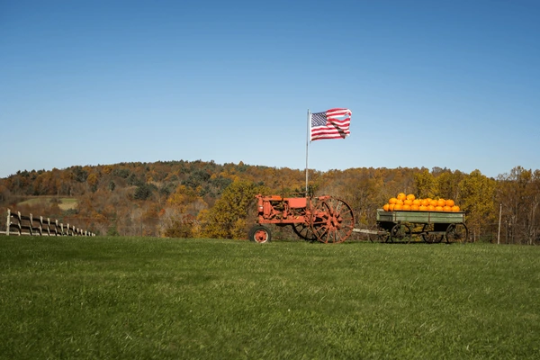 Ward’s Farm 🇺🇸 🐊🫏 (@thewardsfarm) on Twitter photo 🇺🇸Homestead, Farm, Ranch & Garden Community 7-29-2025
🚜 N - O
<a href="/natalie_kovarik/">Natalie Cooper Kovarik</a>
<a href="/natNKB/">Natalie Bright</a>
<a href="/Ndfarmgirl1/">DeAnna Lozensky</a>
<a href="/NE_lizzi/">Never Give in, Never Give up...</a>
<a href="/newtonian124/">Shawn Seven</a>
<a href="/NHCurmudgeon/">TheLeaningStone</a>
<a href="/nhhbbfan/">Neal Hawks</a>
<a href="/NikiNic43/">Niki</a>
<a href="/nikkibrodbeck80/">Grandma Killer🍊</a>
<a href="/njhamlin/">Beekeeping in Maine 🐝 🍯 🐝</a>
<a href="/NLHGorg/">National Ladies Homestead Gathering</a>
<a href="/no_grave_/">A Time to Keep</a>
<a href="/NoahSabich/">Noah J. Sabich</a>
<a href="/Noble_Homestead/">Noble Homestead & The Little Art Barn</a>
<a href="/Noggle_Farms/">Noggle Farms</a>
<a href="/North12B/">BNorth12</a>
<a href="/nosheephere1/">nosheephere</a> 🇺🇸Homestead, Farm, Ranch & Garden Community 7-29-2025
🚜 N - O
<a href="/natalie_kovarik/">Natalie Cooper Kovarik</a>
<a href="/natNKB/">Natalie Bright</a>
<a href="/Ndfarmgirl1/">DeAnna Lozensky</a>
<a href="/NE_lizzi/">Never Give in, Never Give up...</a>
<a href="/newtonian124/">Shawn Seven</a>
<a href="/NHCurmudgeon/">TheLeaningStone</a>
<a href="/nhhbbfan/">Neal Hawks</a>
<a href="/NikiNic43/">Niki</a>
<a href="/nikkibrodbeck80/">Grandma Killer🍊</a>
<a href="/njhamlin/">Beekeeping in Maine 🐝 🍯 🐝</a>
<a href="/NLHGorg/">National Ladies Homestead Gathering</a>
<a href="/no_grave_/">A Time to Keep</a>
<a href="/NoahSabich/">Noah J. Sabich</a>
<a href="/Noble_Homestead/">Noble Homestead & The Little Art Barn</a>
<a href="/Noggle_Farms/">Noggle Farms</a>
<a href="/North12B/">BNorth12</a>
<a href="/nosheephere1/">nosheephere</a>