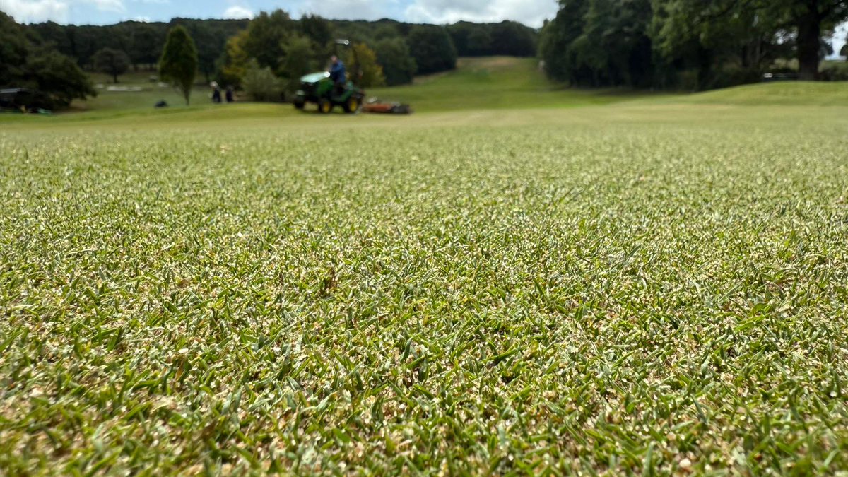 Abbeydale GC Greens Staff. tweet media