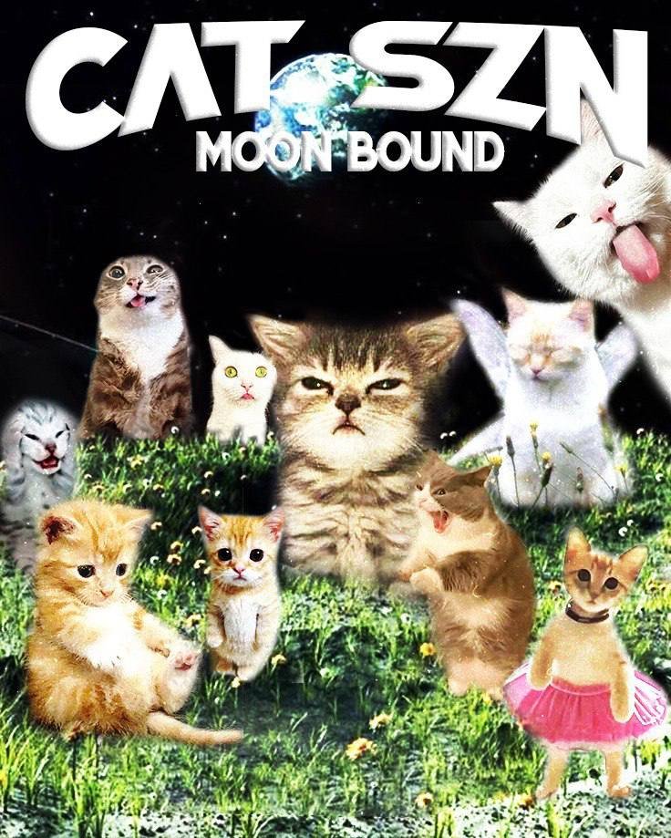 GM from the Catbal. Did you grab some pussy yesterday? That's alright. Today's is Tuesday. Make today your day. 

$CATSZN

3fmpxW4ieK4CSuWwJuC7CiBPeiaT5dJCGGLiAVZbh9DJ