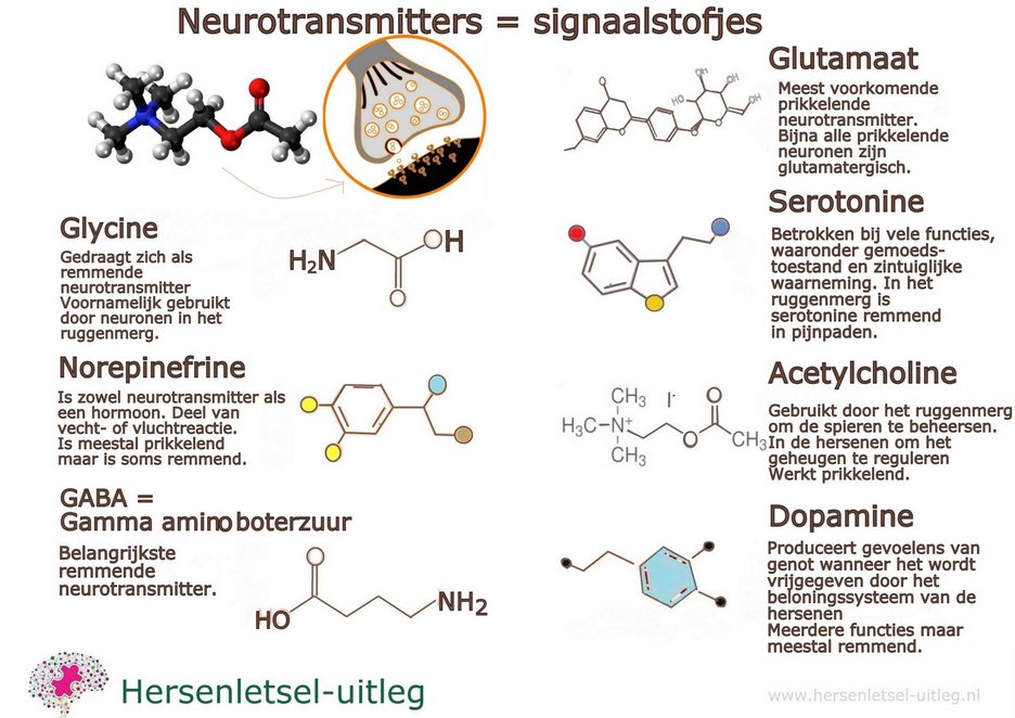 HET BELANG VAN DOPAMINE

De neuroloog heeft me deze ochtend gebeld om te melden dat de medicatie reeds opgestart wordt en we de resultaten van bijkomende onderzoeken niet gaan afwachten vooraleer met de behandeling te starten omdat de symptomen duidelijk zijn en (te) zwaar. Ik