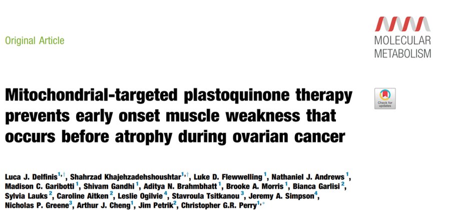 Christopher Perry PhD (@chrisperrymito) on Twitter photo Just published:
We show that the mitochondrial targeted drug SkQ1 prevents muscle weakness before and after atrophy occurs during ovarian cancer. This effect is linked to altered SR calcium release (thanks to <a href="/chenglabyorku/">Arthur Cheng</a> for help with this discovery!)
tinyurl.com/y7j64kjy Just published:
We show that the mitochondrial targeted drug SkQ1 prevents muscle weakness before and after atrophy occurs during ovarian cancer. This effect is linked to altered SR calcium release (thanks to <a href="/chenglabyorku/">Arthur Cheng</a> for help with this discovery!)
tinyurl.com/y7j64kjy