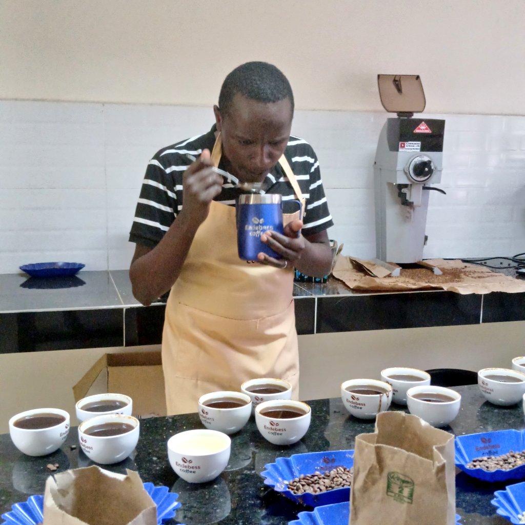 Coffee doctor (@collinskimanth2) on Twitter photo The day has been great, ensuring we do the final cup assessment before we release the coffee
Ensuring we deliver per the client's needs and choice
Kenya coffee
#Coffeedoctor
<a href="/Chumo3Allan/">Allan Chumo</a>
<a href="/NyokabiJesse/">Nyokabi Jesse 4ļøā£.0ļøā£</a>
<a href="/cbeekeeping/">š°šŖThe Rustic Garden</a>
<a href="/Muganzisecure/">muganzi secure sectrine</a>
<a href="/GKatabazi/">Gerald Katabazi.</a>
<a href="/ChantalMwiza/">Mwiza</a> The day has been great, ensuring we do the final cup assessment before we release the coffee
Ensuring we deliver per the client's needs and choice
Kenya coffee
#Coffeedoctor
<a href="/Chumo3Allan/">Allan Chumo</a>
<a href="/NyokabiJesse/">Nyokabi Jesse 4ļøā£.0ļøā£</a>
<a href="/cbeekeeping/">š°šŖThe Rustic Garden</a>
<a href="/Muganzisecure/">muganzi secure sectrine</a>
<a href="/GKatabazi/">Gerald Katabazi.</a>
<a href="/ChantalMwiza/">Mwiza</a>