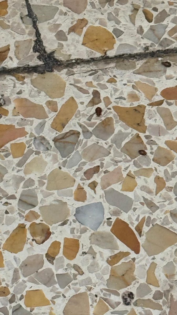 <a href="/AcampadaMar/">AcampadaMar</a> <a href="/salutcat/">Salut</a> <a href="/FtcPsmar/">FTC/IAC Hospital del Mar</a> <a href="/alafeinacaprisc/">A la feina cap risc</a> <a href="/SaludPublicaEs/">Salud Pública</a> <a href="/hospitaldelmar/">Hospital del Mar</a> <a href="/HMar_research/">HMar Research Institute</a> <a href="/HMarFP/">Institut Hospital del Mar FP Sanitària</a> Afirmativo si lo son <a href="/margaesteve/">Marga Esteve</a>
Durante 15 dias chinches en la 70 de Hospital del Mar #xinches #chinches 
Hasta que los delegados de PRL han actuado no se ha movido nada , de entrada negaron la situación como siempre .....
#PRL #Laboral #sindical