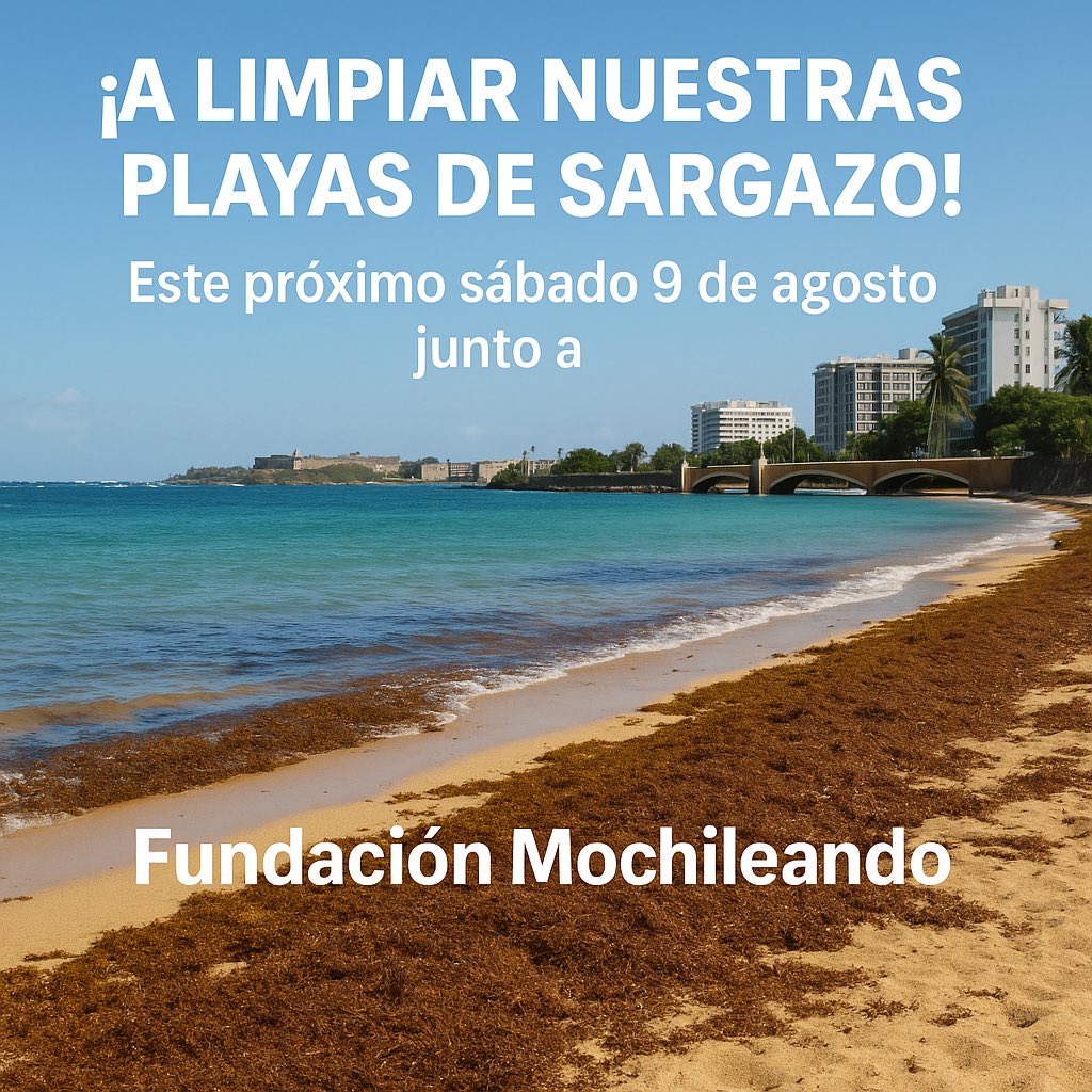 Fundación Mochileando se une al esfuerzo comunitario para limpiar nuestras playas de sargazo 🌊💪🏽 💚

Este sábado 9 de agosto, Fundación Mochileando se unirá a varias organizaciones y grupos de vecinos de San Juan para remover la mayor cantidad de sargazo posible en la Bahía del