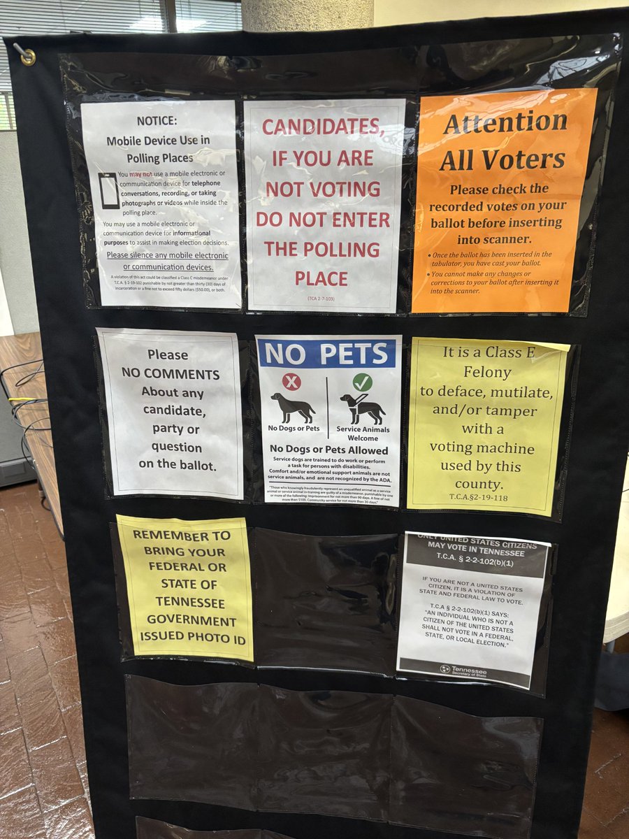 Knoxvotes tweet media