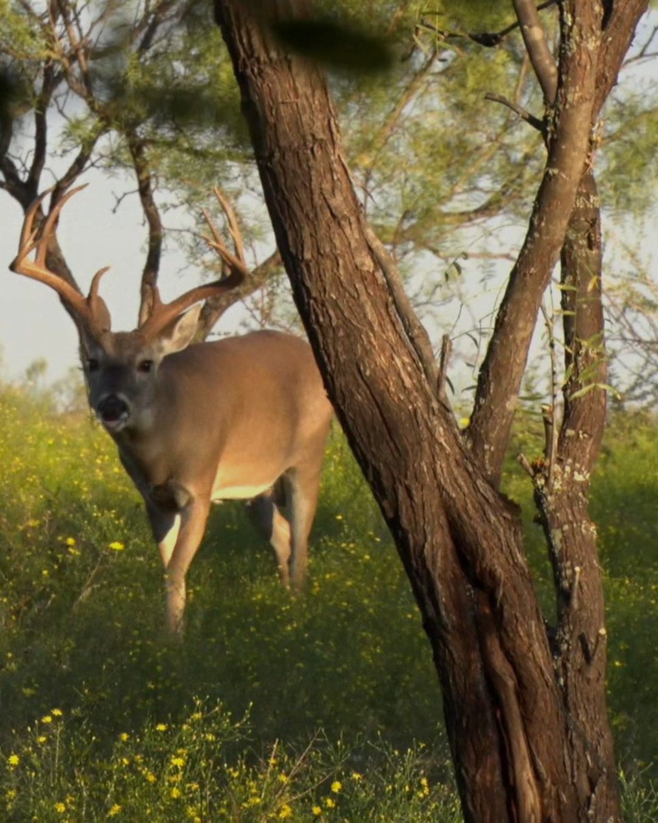Do you have those food-cover patterns dialed in? 

📸 : <a href="/wade_middleton/">Wade Middleton</a>