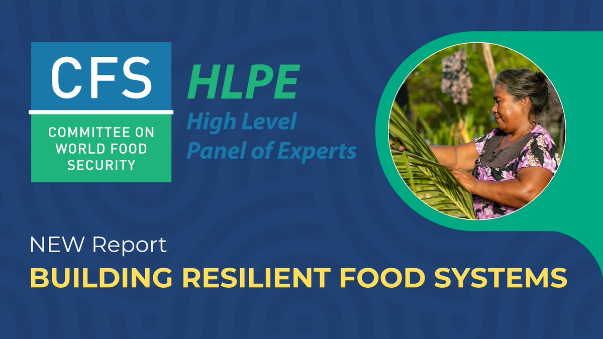 📢 #SaveTheDate!
Join us for the launch of the new report by the HLPE-FSN of <a href="/UN_CFS/">CFS</a> on "Building resilient food systems".

🗓️4 September 2025, 14:00 CEST
📍FAO HQ, Rome &amp; online
🌐In 6 languages

Sign up today!
fao.zoom.us/webinar/regist…
#ResilientFoodSystems #FoodSecurity #CFS53