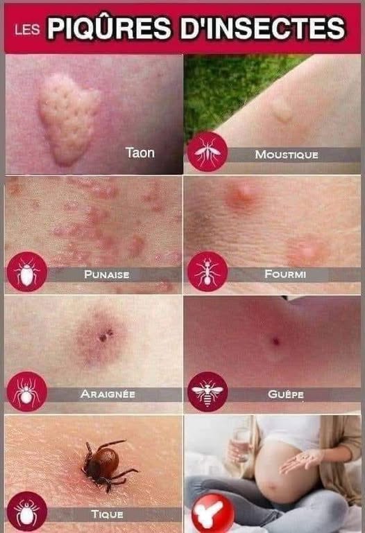 🇨🇵 Patrick 🇮🇹 ✨️✨️👀🌿🌿 (@ultralevure83) on Twitter photo 