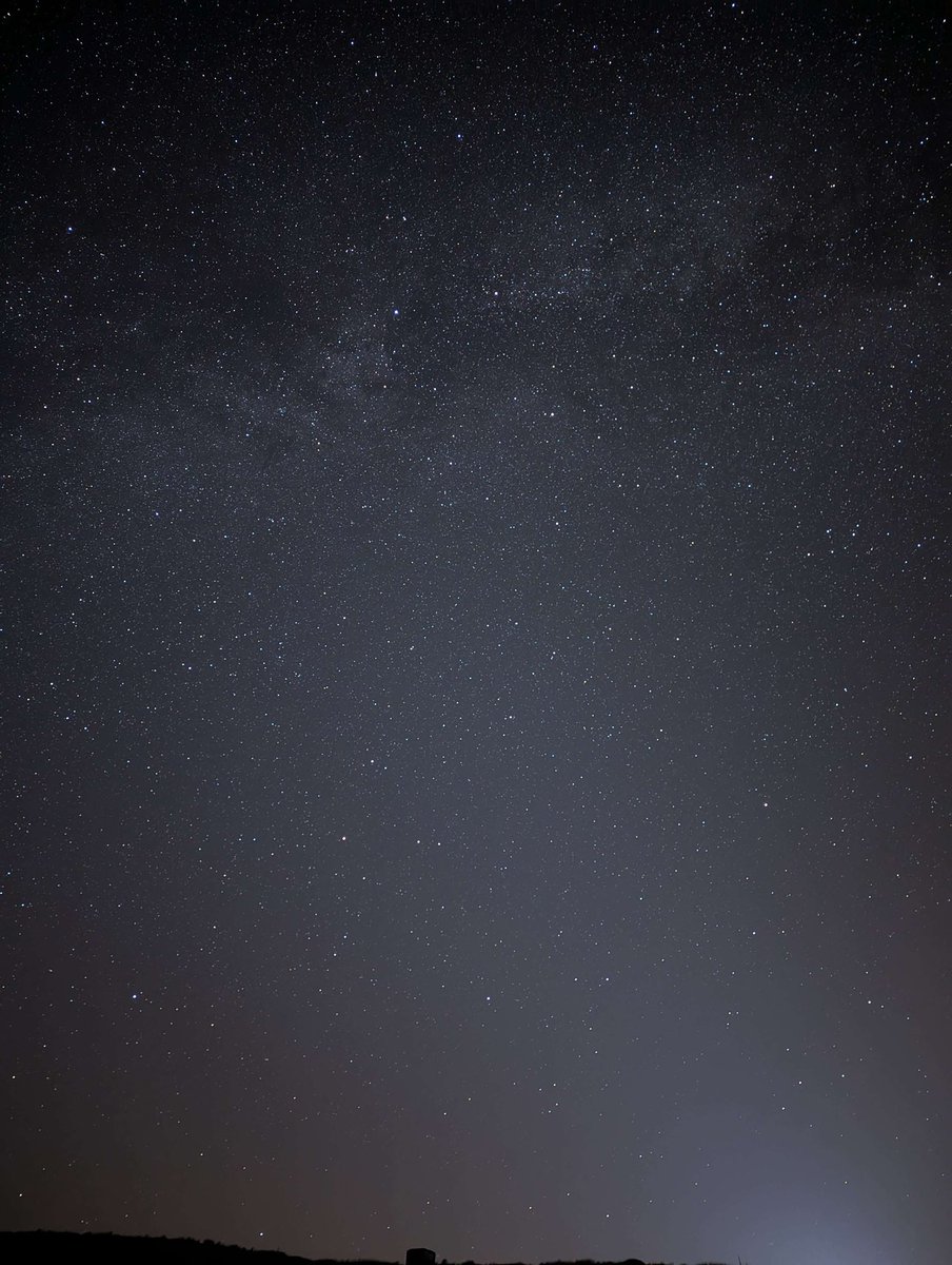 Fawny @fawnykin - Twitter Profile | Sotwe