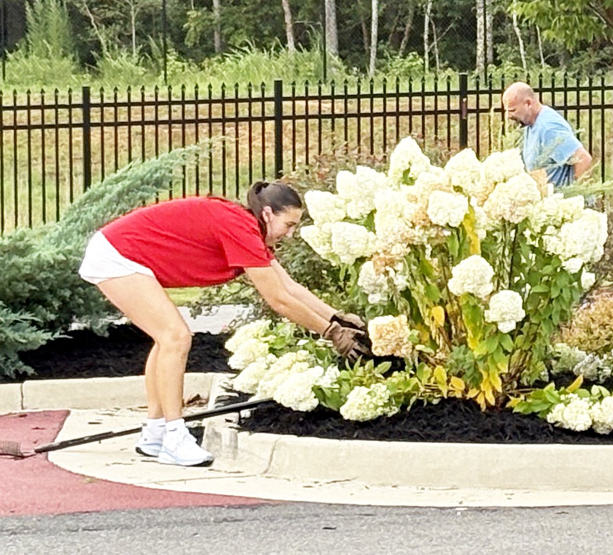 Banner Christian School tweet media