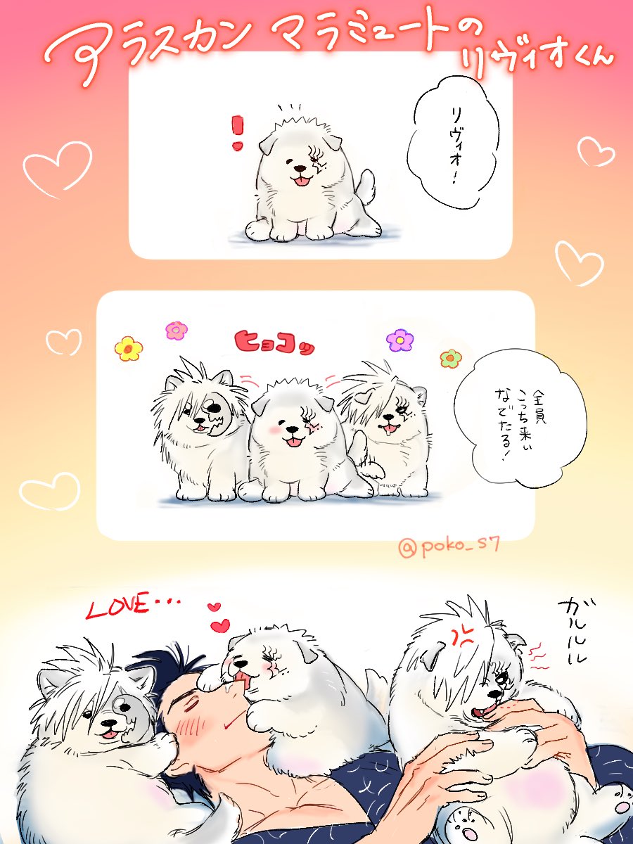 poko_s7's tweet photo. 仔犬なリヴィオくんたち https://t.co/T0WFdbeZJy