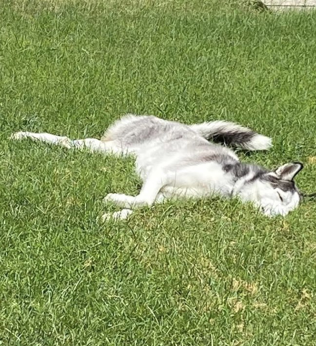 This weather 68° 👌