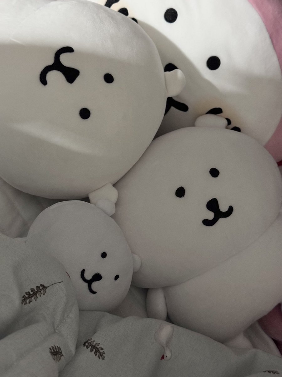 곰나잇( ˙ᴥ˙ )🤍