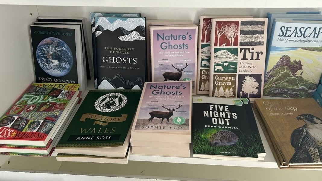 Thank you <a href="/calonbooks/">calonbooks</a> for sharing this pic of 'Where the Folk' on display alongside other Calon titles at the <a href="/eisteddfod/">eisteddfod</a> up at Wrexham 😁 #eisteddfodwrecsam2025 #nationaleisteddfod2025 #eisteddfodgenedlaethol2025 #wherethefolk