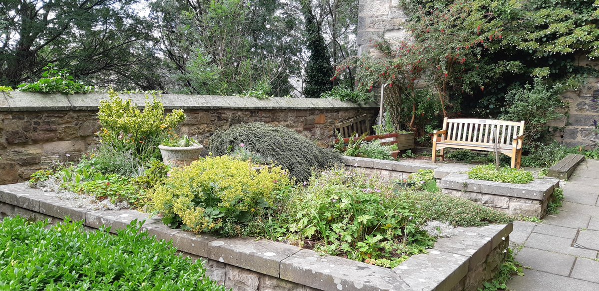 Mary W. Craig (@11mwc) on Twitter photo A lovely wee secret garden at the back of my @Scotlandsfest event organised by my lovely publisher <a href="/LuathPress/">Luath Press</a> A lovely wee secret garden at the back of my @Scotlandsfest event organised by my lovely publisher <a href="/LuathPress/">Luath Press</a>